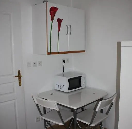 Entre Fac Hopital Et Centre Ντιζόν